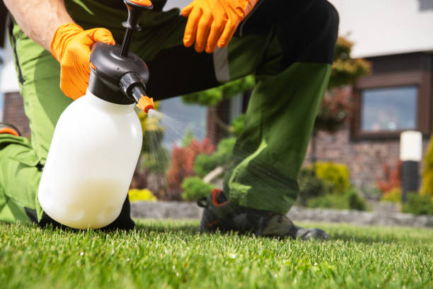 Best Best Pest Control Companies  in Hatch, NM