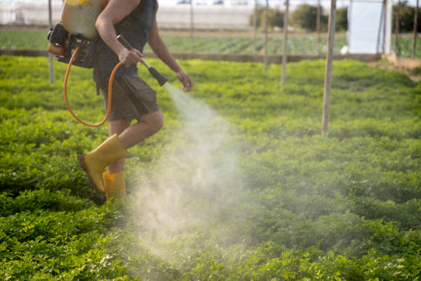 Best Best Pest Control Companies  in Hatch, NM