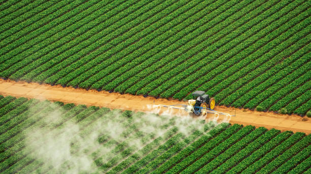 Best Commercial Pest Control Services  in Hatch, NM