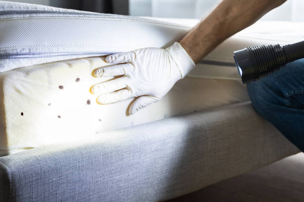 Best Wildlife Control Services  in Hatch, NM
