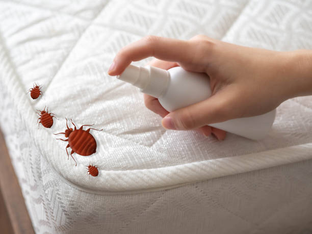 Best Mosquito Control Services  in Hatch, NM