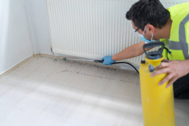 Best Local Pest Control Services  in Hatch, NM