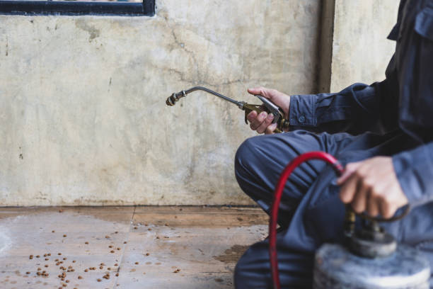 Professional Pest Control in Hatch, NM